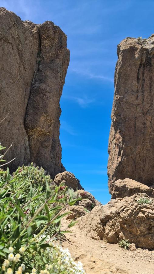 Puerto Rico Top Teide And Amadores View Екстериор снимка